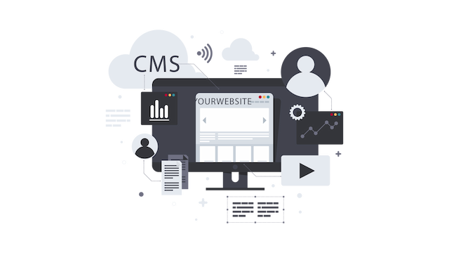 Software Developer image